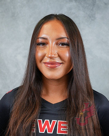25.08.14 ATH VB Media Day-2