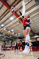 25.10.03 ATH VB V Southwest Baptist2