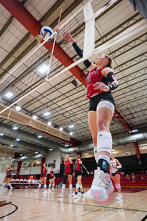 25.10.03 ATH VB V Southwest Baptist2