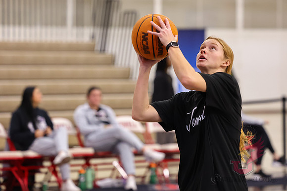 26.01.10 ATH WBB V McKendree2