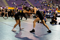 26.01.10 WWRSTL v. National Duals4