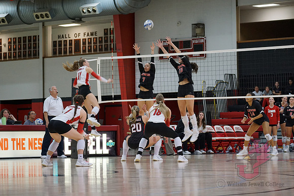 25.11.07 ATH VB Senior Day46