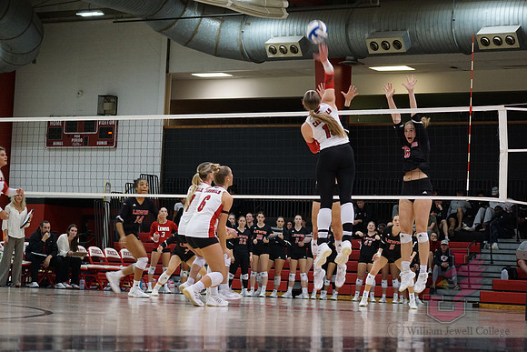 25.11.07 ATH VB Senior Day51