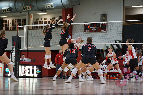 25.11.07 ATH VB Senior Day56