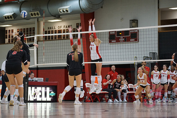 25.11.07 ATH VB Senior Day59