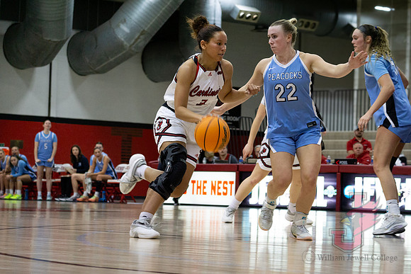 26.01.22 WBB vs Upper Iowa-37