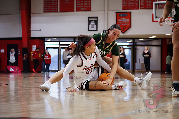 26.02.14 WBB vs Missouri S&T-30
