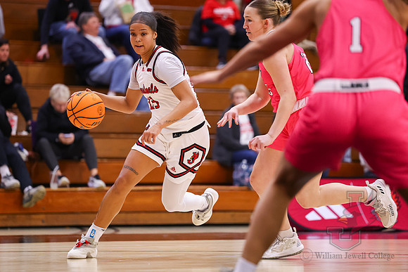 26.02.12 ATH WBB V Drury32