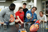 26.02.26 SPI Anatomy Lab 3