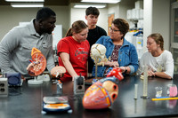 26.02.26 SPI Anatomy Lab 4