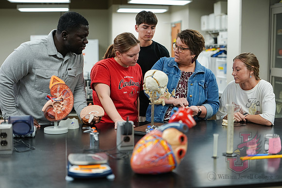 26.02.26 SPI Anatomy Lab 4