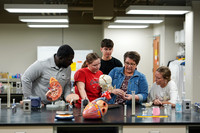 26.02.26 SPI Anatomy Lab 5