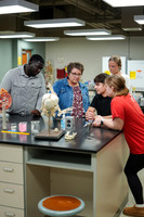 26.02.26 SPI Anatomy Lab 10