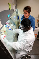 26.02.26 SPI Biology Lab 8