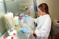 26.02.26 SPI Biology Lab 12