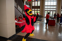 24.06.21 SLE Cardinal Day 56