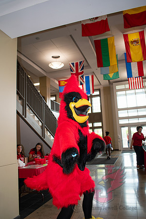 24.06.21 SLE Cardinal Day 55