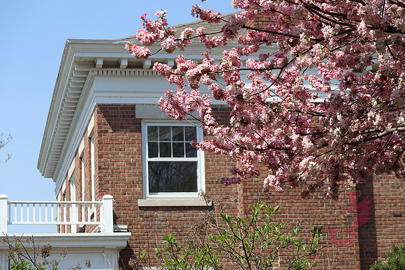 25.04.11 JLB Spring Blooms 31