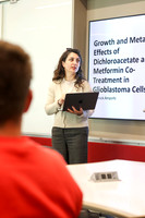 26.04.24 SLE Colloquium Presentations 5