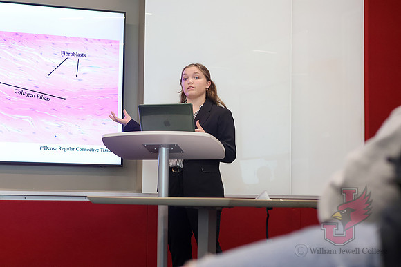 26.04.24 SLE Colloquium Presentations 17