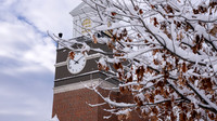 24.01.10 JLB Winter-Snow on The Hill 2