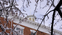 24.01.10 JLB Winter-Snow on The Hill 11