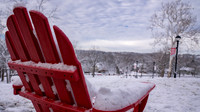 24.01.10 JLB Winter-Snow on The Hill 15