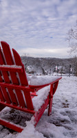 24.01.10 JLB Winter-Snow on The Hill 16