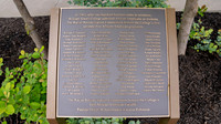 Closeup Signs-01587