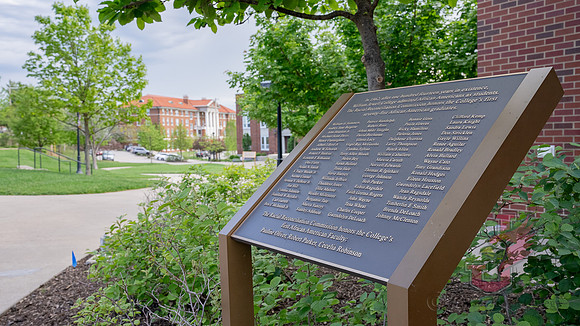 Freedom Walk PLC Sign-00060