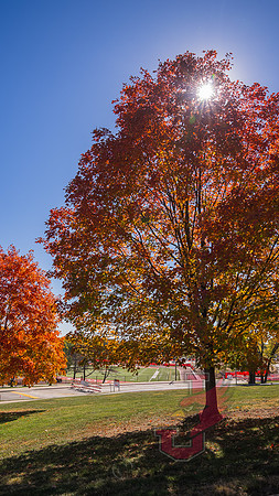 23.10.20 JLB Fall Foliage 1