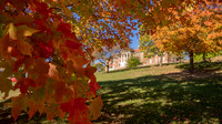 23.10.20 JLB Fall Foliage 6