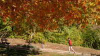 23.10.20 JLB Fall Foliage 8