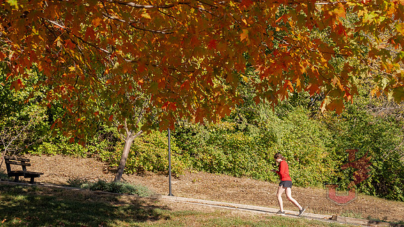 23.10.20 JLB Fall Foliage 8