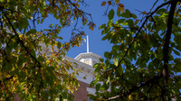 23.10.20 JLB Fall Foliage 12