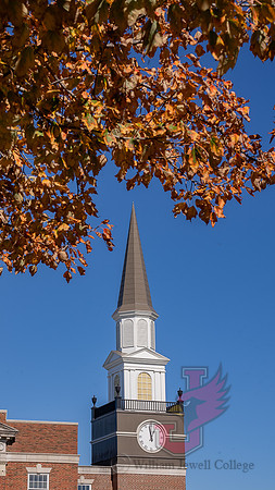 23.10.20 JLB Fall Foliage 14