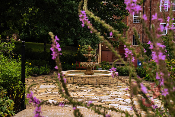 23.07.15 JLB Summer on The Hill 6
