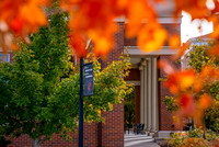 22.11.1 JLB Fall Foliage 1
