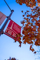 22.11.1 JLB Fall Foliage 3