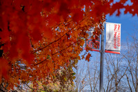 22.11.1 JLB Fall Foliage 2