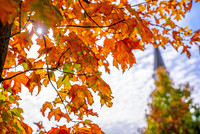 22.11.1 JLB Fall Foliage 6