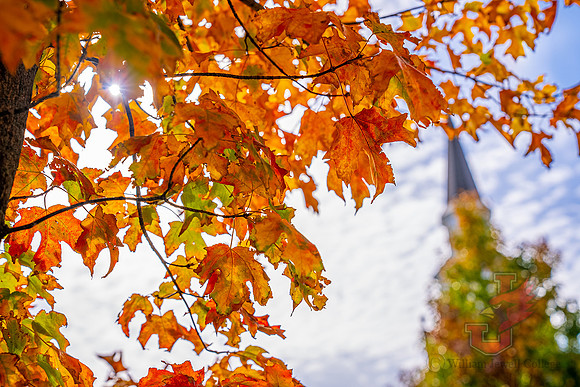 22.11.1 JLB Fall Foliage 6