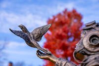 22.11.1 JLB Fall Foliage 12