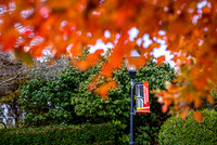 22.11.1 JLB Fall Foliage 11