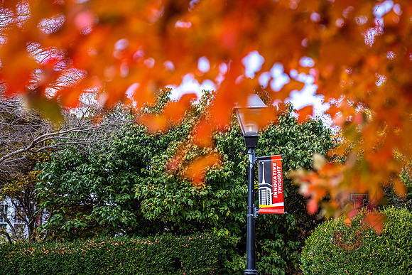 22.11.1 JLB Fall Foliage 11