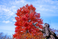 22.11.1 JLB Fall Foliage 13