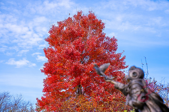 22.11.1 JLB Fall Foliage 13