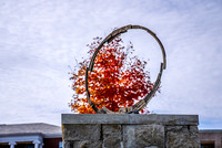 22.11.1 JLB Fall Foliage 18