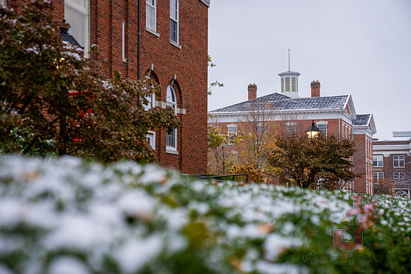 22.11.15 JLB Winter-Snow 8
