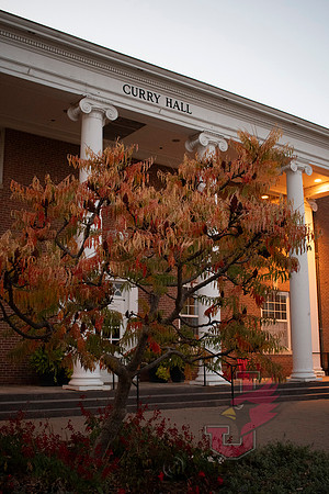24.10.23 JLB Fall Foliage 2